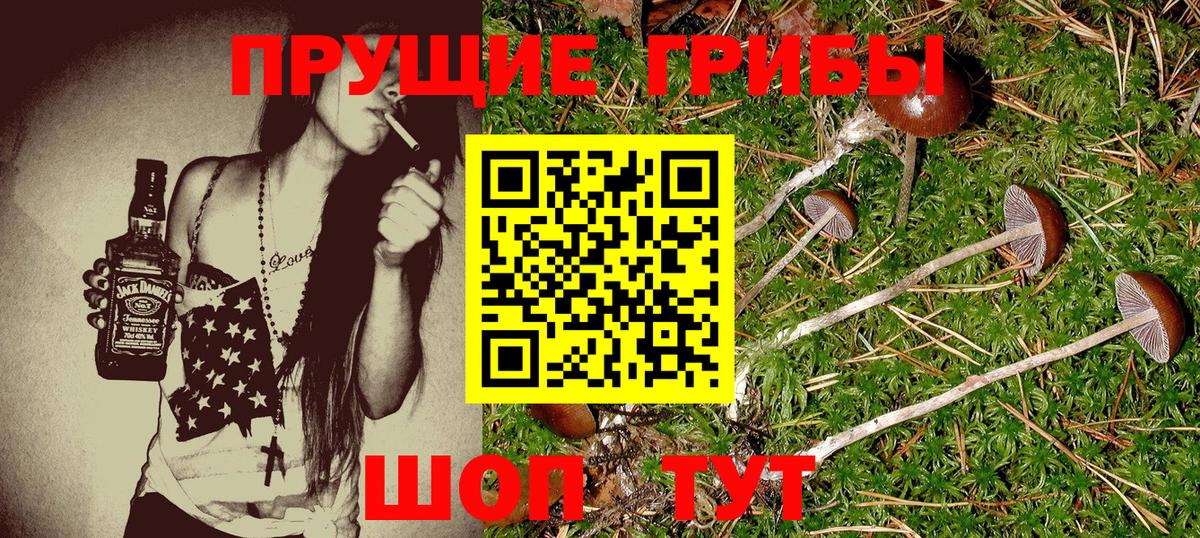 Ступино  наркошоп  Вход с VPN  Галлюциногенные грибы Cubensis 