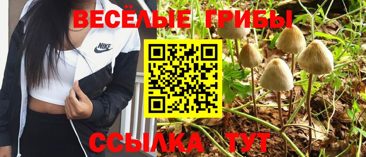 Галлюциногенные грибы MAGIC MUSHROOMS Ступино